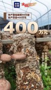 <b>【决胜2020】脱贫成绩单，看看陕西担当！</b>